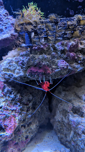 Self-Storage Facility «U-Lock-It of Pocono», reviews and photos, 3450 PA-611, Bartonsville, PA 18321, USA