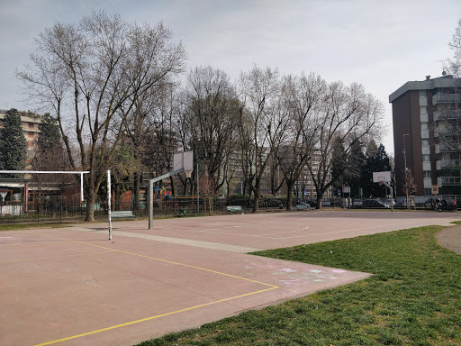 Campetto di Basket - Anemoni