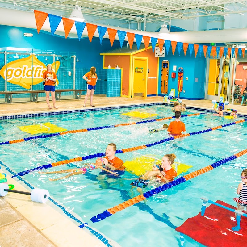 Goldfish Swim School - Columbia