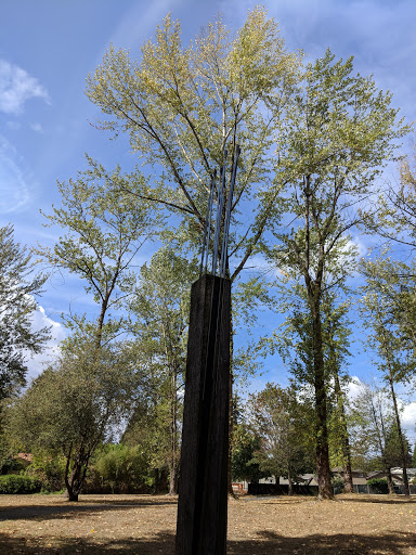 Park «132nd Square Park», reviews and photos, 13159 132nd Ave NE, Kirkland, WA 98034, USA