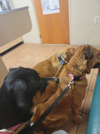 Old Dominion Veterinary Clinic image