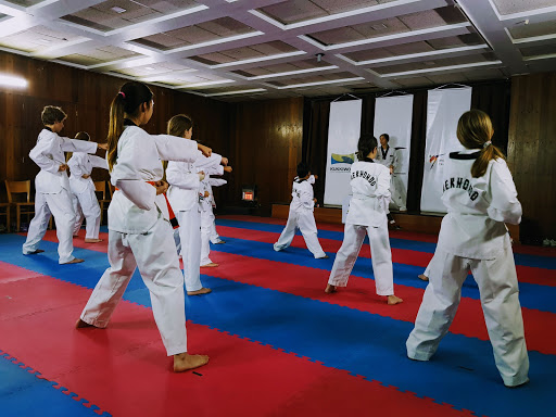 Escuela Oficial de Taekwondo Maestro Kim