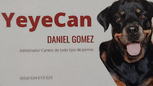 Yeyecan - Adiestramiento Canino Rincón De La Victoria