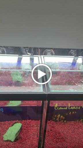 Pet Store «Pet Town», reviews and photos, 7804 Florence Ave, Downey, CA 90240, USA