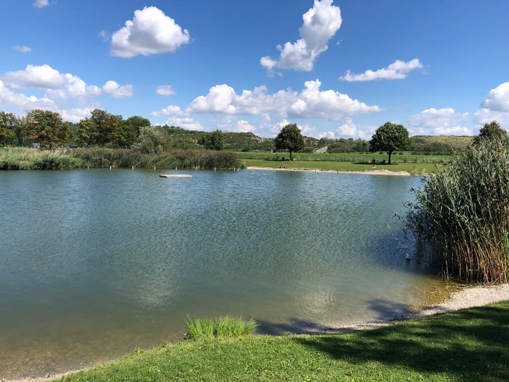 Foto av Naturbad Morbisch med hög nivå av renlighet