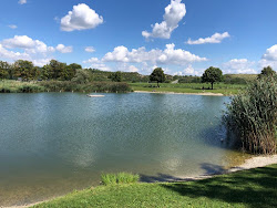 Naturbad Morbisch'in fotoğrafı çok temiz temizlik seviyesi ile