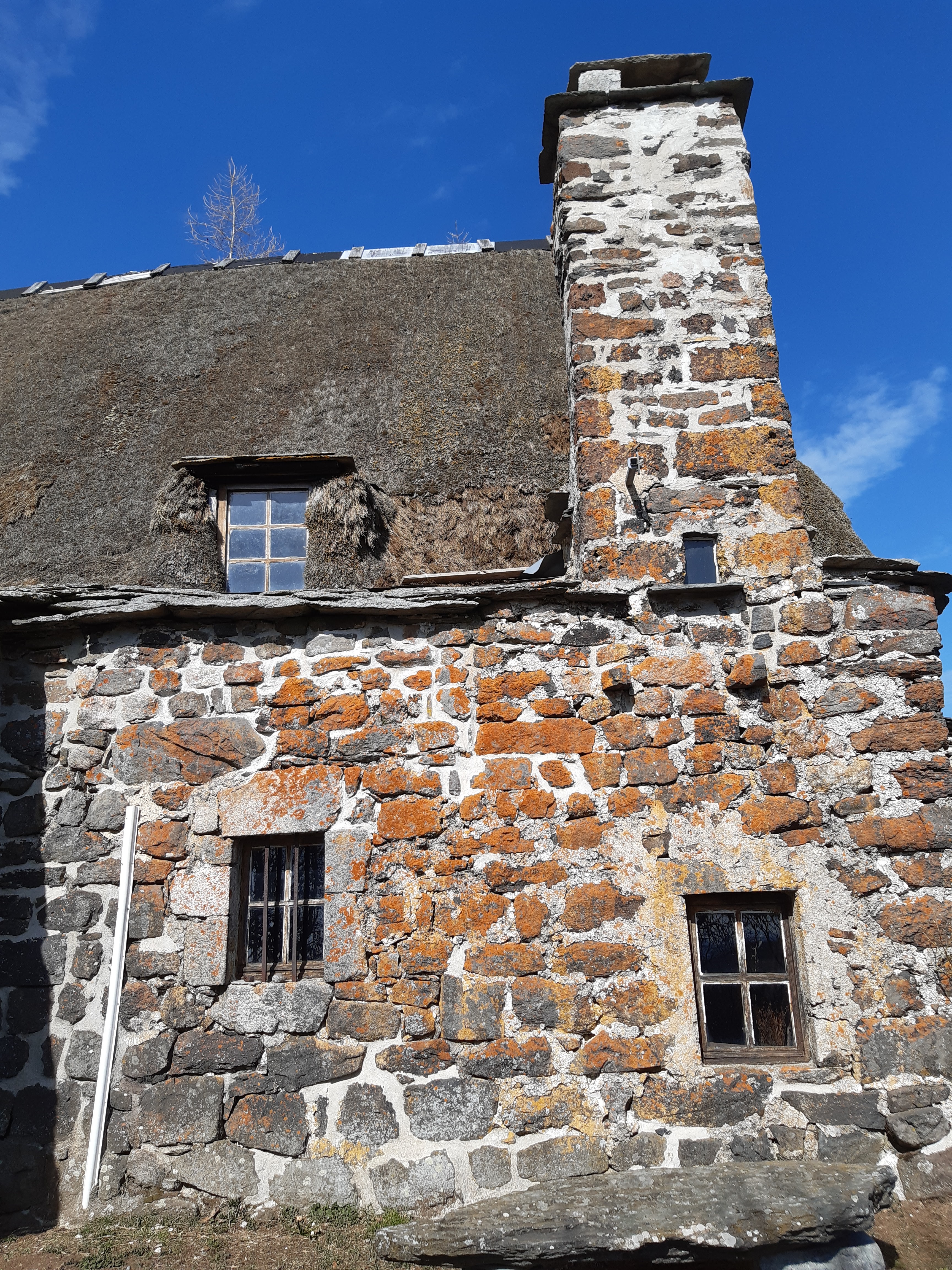 Photo n° 4 de l'avis de Jean.e fait le 30/03/2022 à 15:27