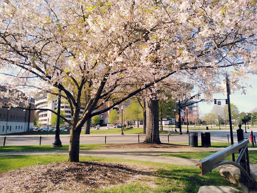Stadium «Bryant-Denny Stadium», reviews and photos, 920 Paul W Bryant Dr, Tuscaloosa, AL 35401, USA