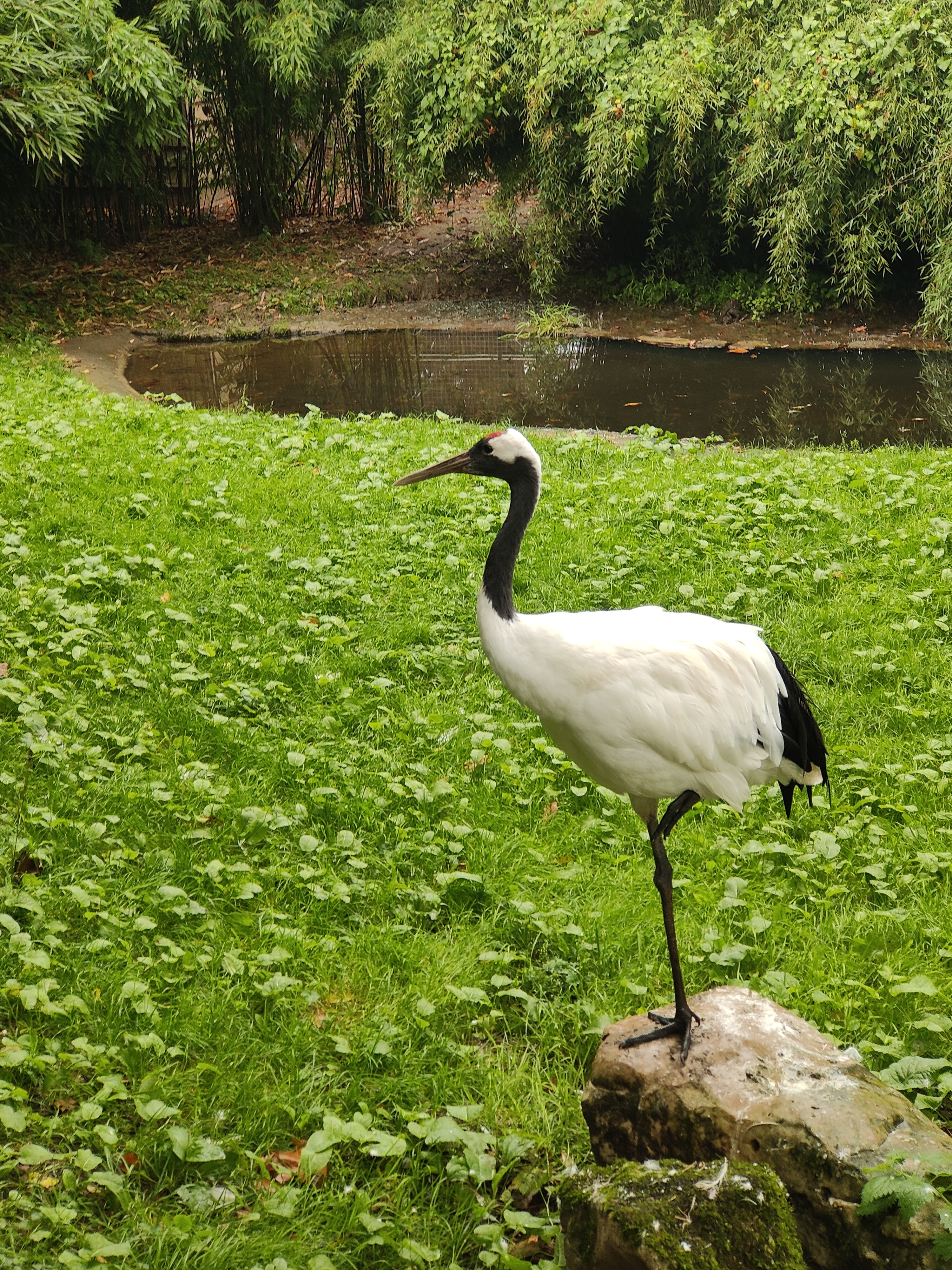 Photo n° 5 de l'avis de amourette.h fait le 19/09/2023 à 06:08