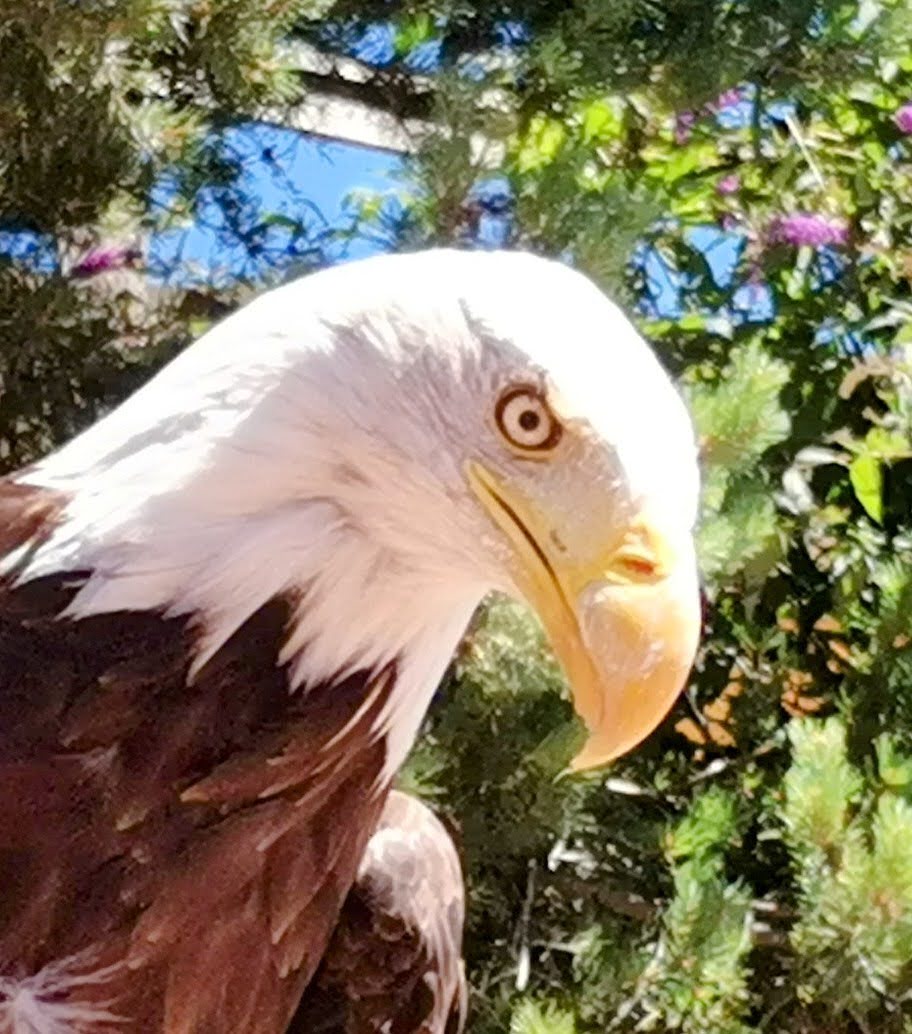 Photo n° 6 de l'avis de Wil.o fait le 06/08/2021 à 23:28