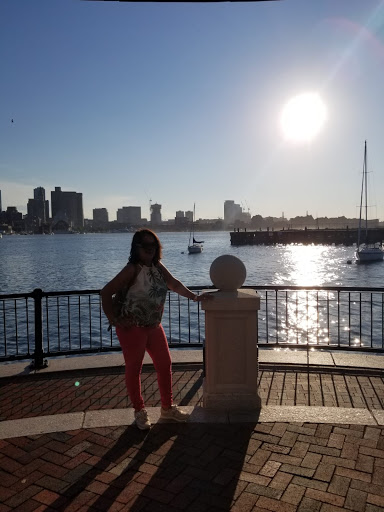 Pet Supply Store «Pet Supplies Plus», reviews and photos, 494 Westgate Dr, Brockton, MA 02301, USA