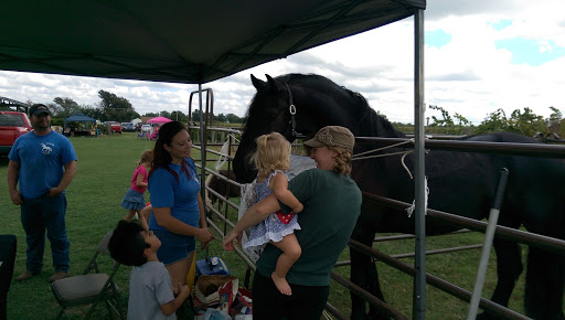Vineyard «Canadian River Vineyard and Winery LLC», reviews and photos, 7050 Slaughterville Rd, Lexington, OK 73051, USA
