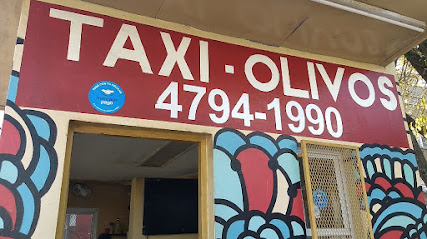 Taxi Olivos