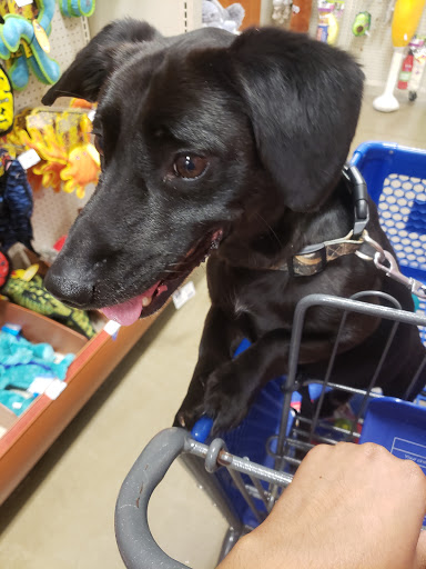 Pet Supply Store «PetSmart», reviews and photos, 1950 Jonesboro Rd, McDonough, GA 30253, USA
