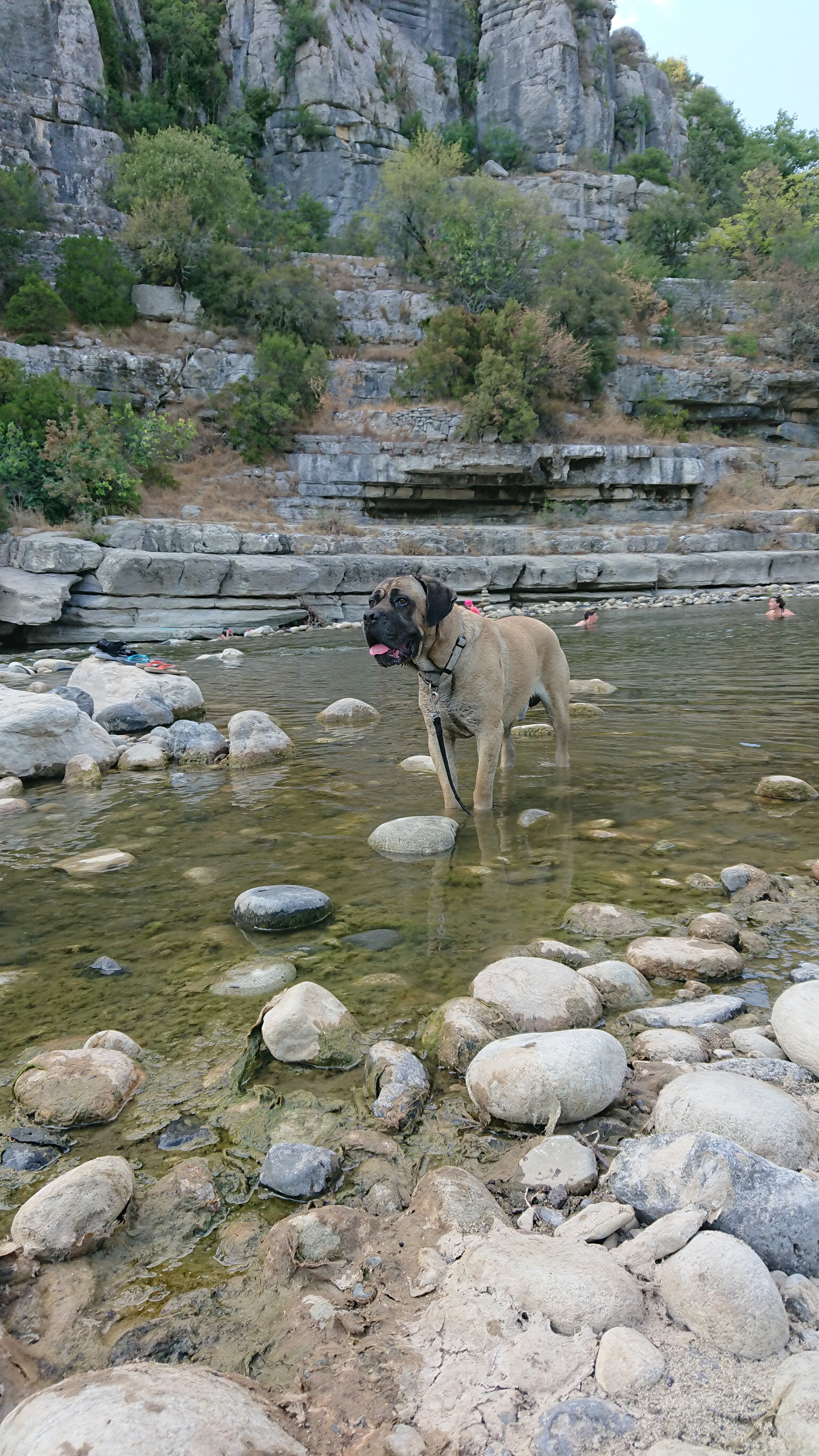 Photo n° 3 de l'avis de Yann.o fait le 12/08/2019 à 13:38