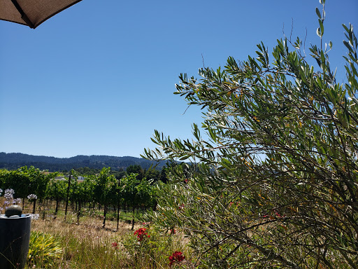 Winery «Mazzocco Winery», reviews and photos, 1400 Lytton Springs Rd, Healdsburg, CA 95448, USA