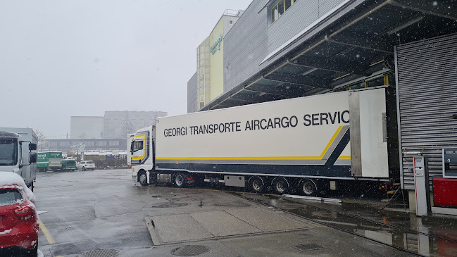 Kommentare und Rezensionen über Cargologic AG Bern