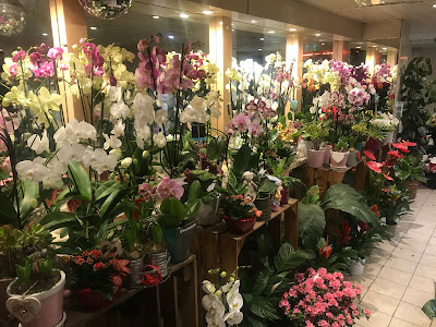 Fleuriste Eden Fleurs à Nice