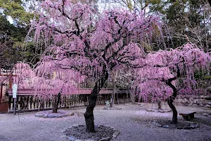 Yuki Shrine image