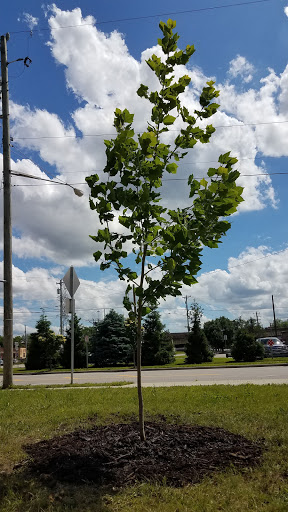 Pet Supply Store «Northside Grange», reviews and photos, 4116 Hamilton Ave, Cincinnati, OH 45223, USA