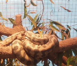 Exotic Animal World (Previously Butterfly World) photo