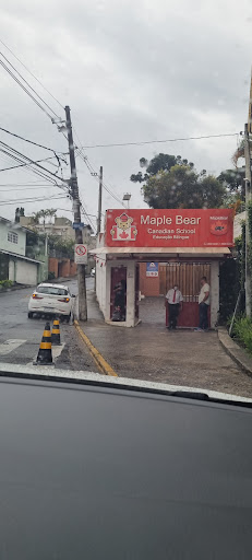 Logo da empresa - Maple Bear