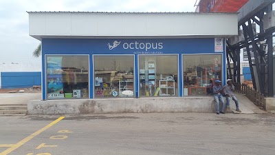 Photos of Octopus