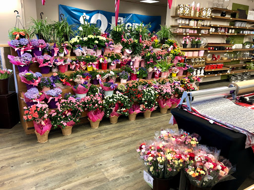 Grocery Store «Safeway», reviews and photos, 10300 Federal Blvd, Federal Heights, CO 80260, USA