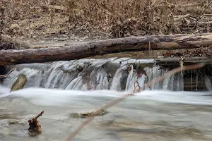 Pine Creek Nature Preserve image