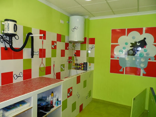 Información y opiniones sobre Peluquería Canina Peludos Córdoba de Córdoba