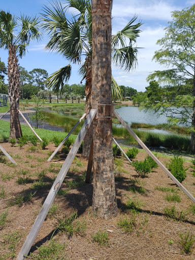 Park «Crest Lake Park», reviews and photos, 201 S Glenwood Ave, Clearwater, FL 33755, USA