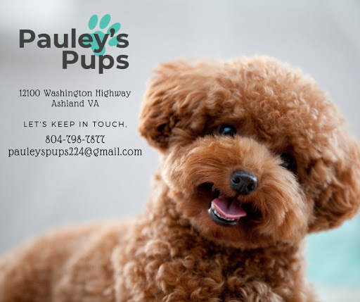 Pauley's Pups