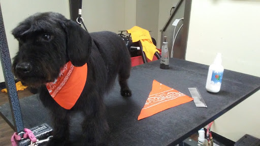 Pet Groomer «U Dirty Dog», reviews and photos, 232 Stevens Entry, Peachtree City, GA 30269, USA