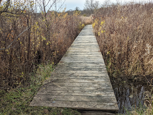 Downybrook Nature Reserve