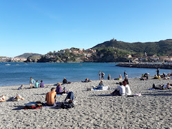 Collioure Plajı'in fotoğrafı ve yerleşim