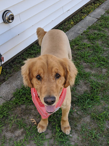 Pet Supply Store «PetSmart», reviews and photos, 208 Mariner Way, Biddeford, ME 04005, USA