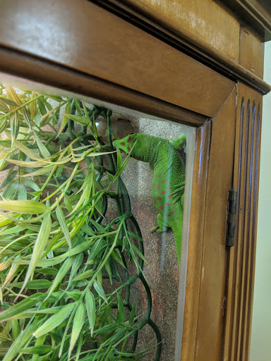 Explore flash tattoo ideas for men, creative tattoo ideas in Erie, available at Wayward Tattoo Studio