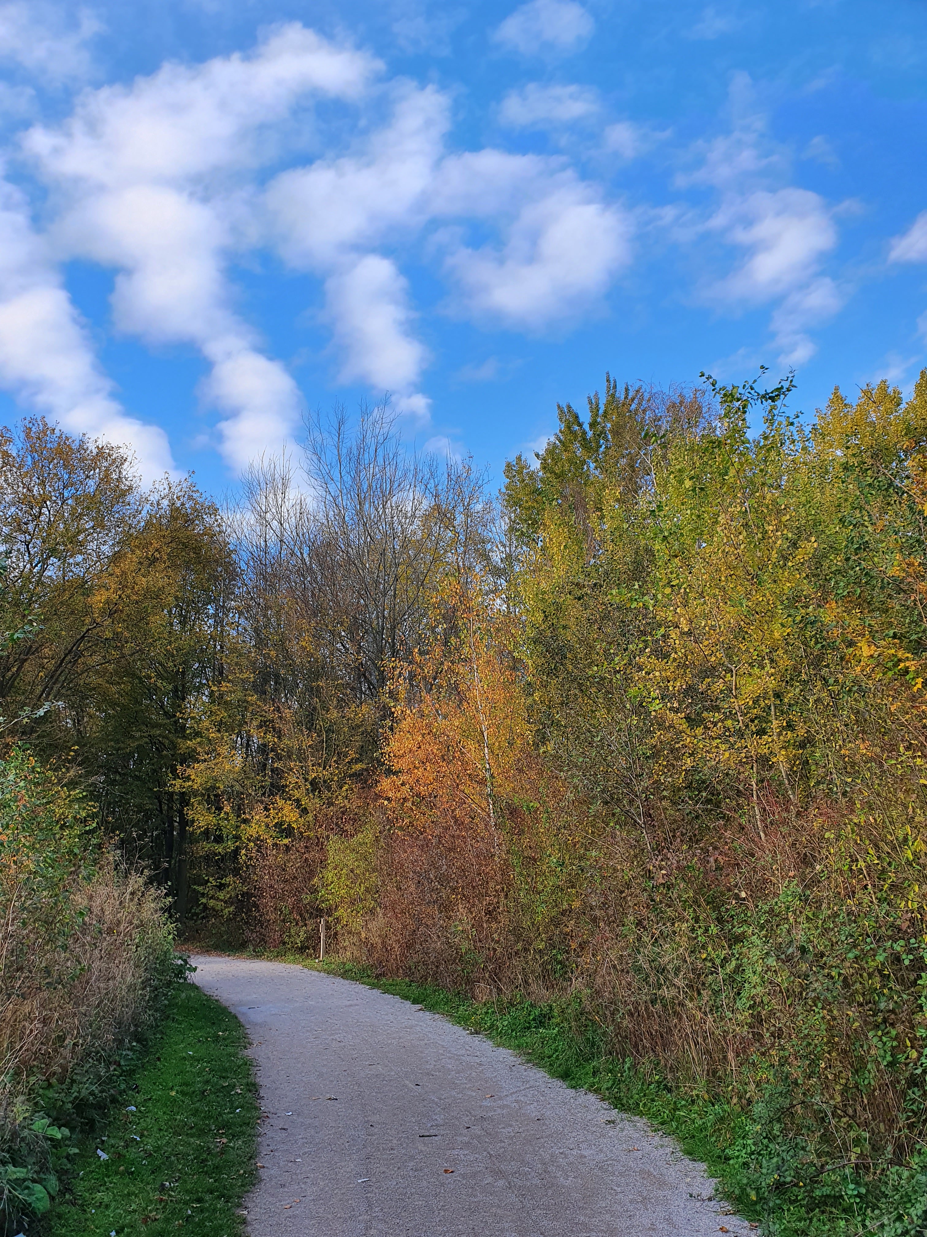 Photo n° 7 de l'avis de Flavie.o fait le 10/11/2020 à 06:58