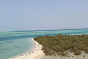 Farasan Island Marine Sanctuary image