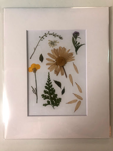 Thrift Store «Inspired Thrift Store», reviews and photos, 7 Somerset St, Ocean City, MD 21842, USA