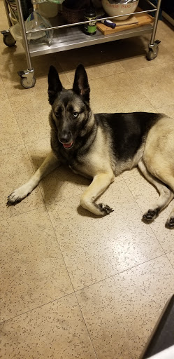 Pet Store «PetSmart», reviews and photos, 1580 Gateway Blvd, Fairfield, CA 94533, USA