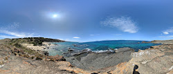 Spiky Beach'in fotoğrafı vahşi alan
