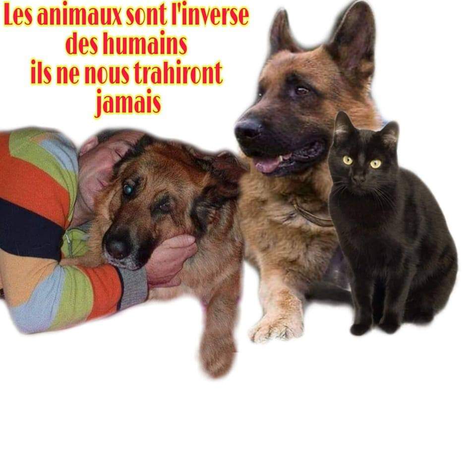 Photo n° 2 de l'avis de Pierre.o fait le 05/03/2022 à 07:19