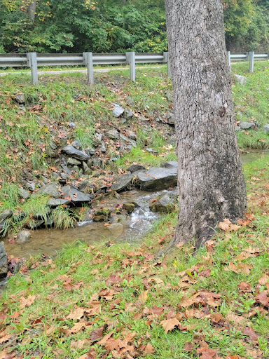 Grocery Store «Natural Bridge General Store», reviews and photos, 593 Wert Faulkner Hwy, Natural Bridge Station, VA 24579, USA