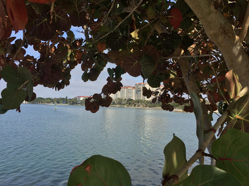 Performing Arts Theater «Van Wezel Performing Arts Hall», reviews and photos, 777 N Tamiami Trail, Sarasota, FL 34236, USA