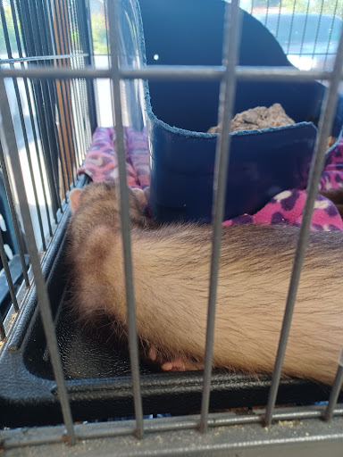 Tropical Fish Store «Animal House Pet Shop», reviews and photos, 358 Warner Milne Rd #110, Oregon City, OR 97045, USA