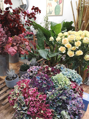 Fleurs et Flowers à Bordeaux