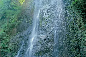 Shiraino Waterfalls image