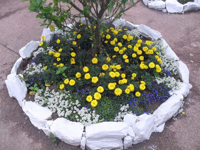 Vivero MG PLANTAS - Centro de jardinería