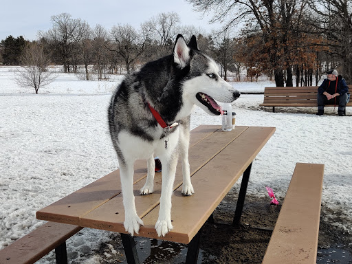Dog Park «Bunker Hills Dog Park», reviews and photos, 1620 133rd Ave NW, Coon Rapids, MN 55448, USA